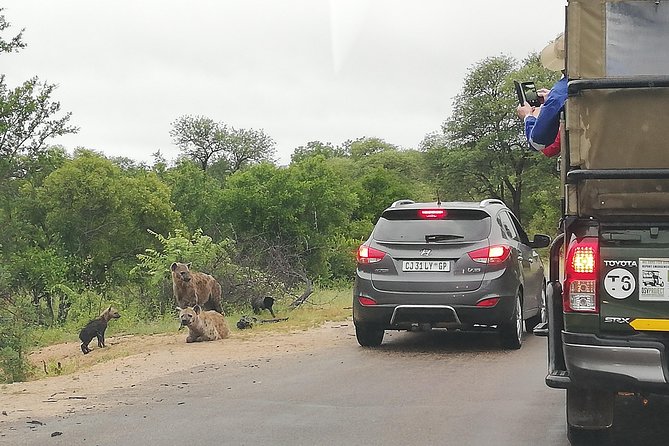 Kruger National Park 2 Days 1 Night Magical Safari from Johannesburg Private - Day 1: late-day Kruger, close-vehicle safari, and waterholes