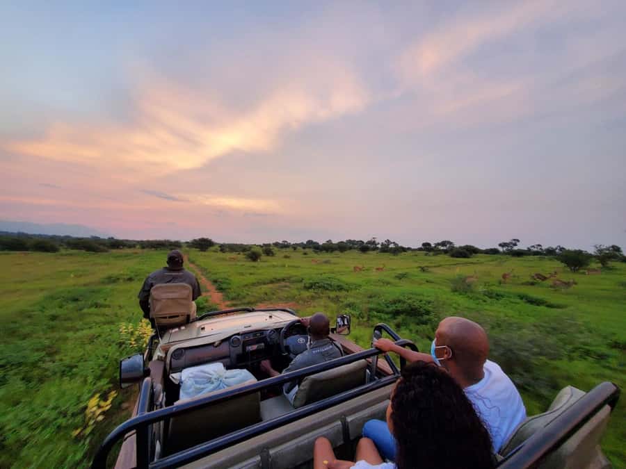 Kruger National Park: 3 Day Safari Tour - Key takeaways before you go