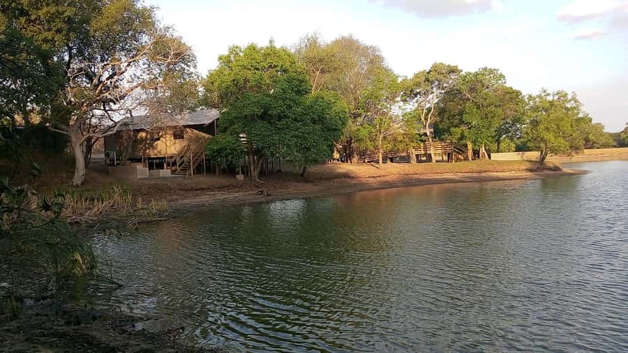 Kruger National Park: 3 Day Safari Tour - Price and value: what $784 per person really covers