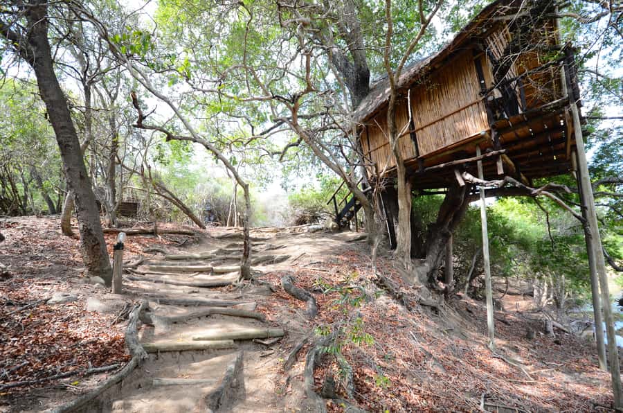 Kruger National Park: 3-Day Safari Tour and Treehouse Stay - Quick hits