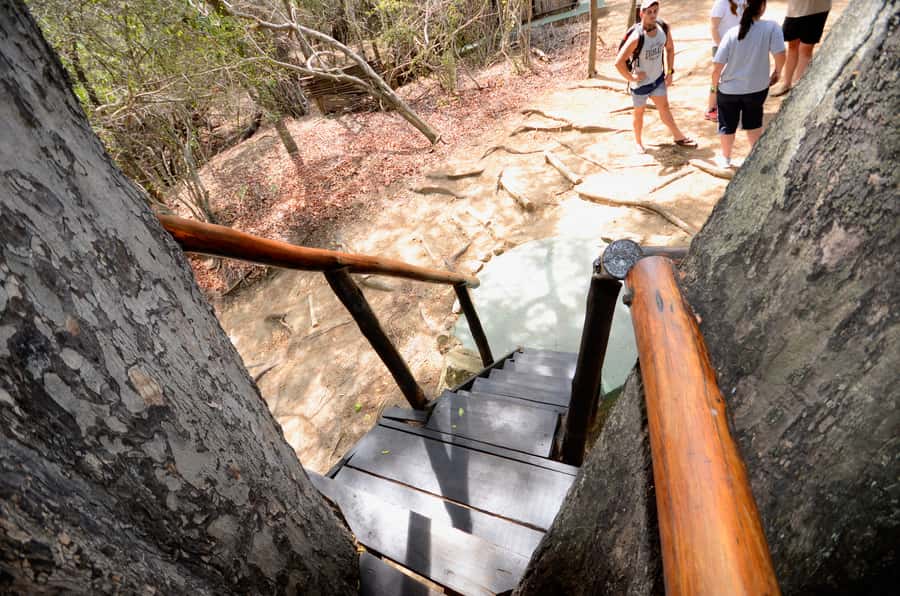 Kruger National Park: 3-Day Safari Tour and Treehouse Stay - Price and Value: Is $890 a Good Deal Here?