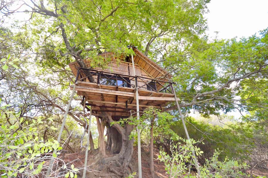 Kruger National Park: 3-Day Safari Tour and Treehouse Stay - Kruger in Three Days: What You Really Get for the Money