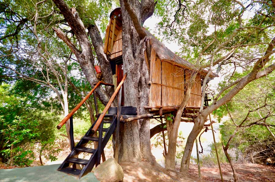 Kruger National Park: 3-Day Safari Tour and Treehouse Stay - Day 2 in Kruger Orpen Area: Open-Viewer Safari and Predator-Prime Territory