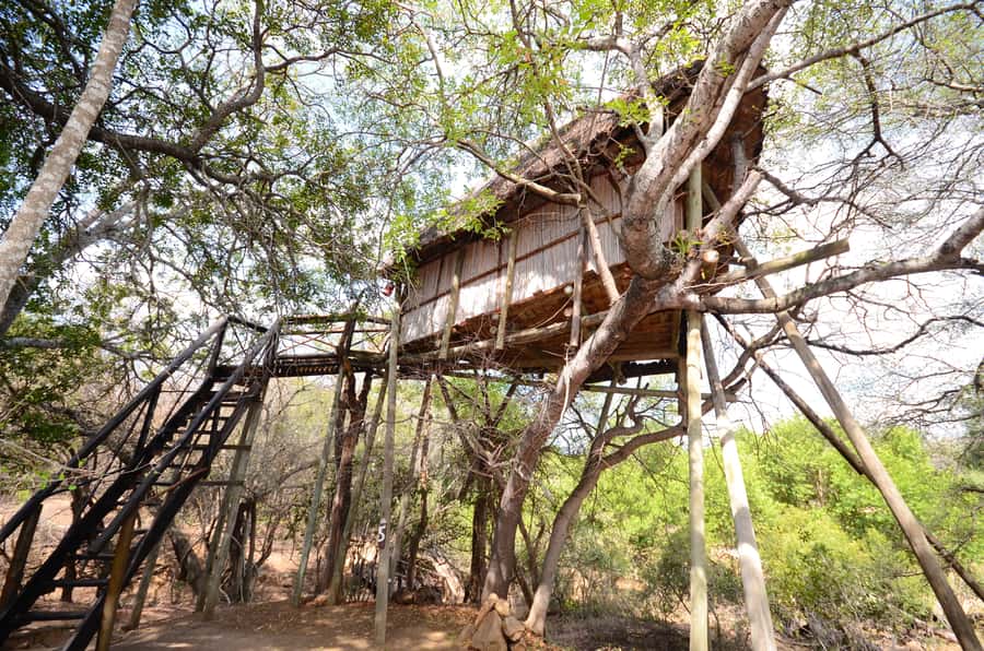 Kruger National Park: 3-Day Safari Tour and Treehouse Stay - Tremisana and Marc’s Treehouse Lodge: A Rustic Nature Stay with Real-World Comfort Notes