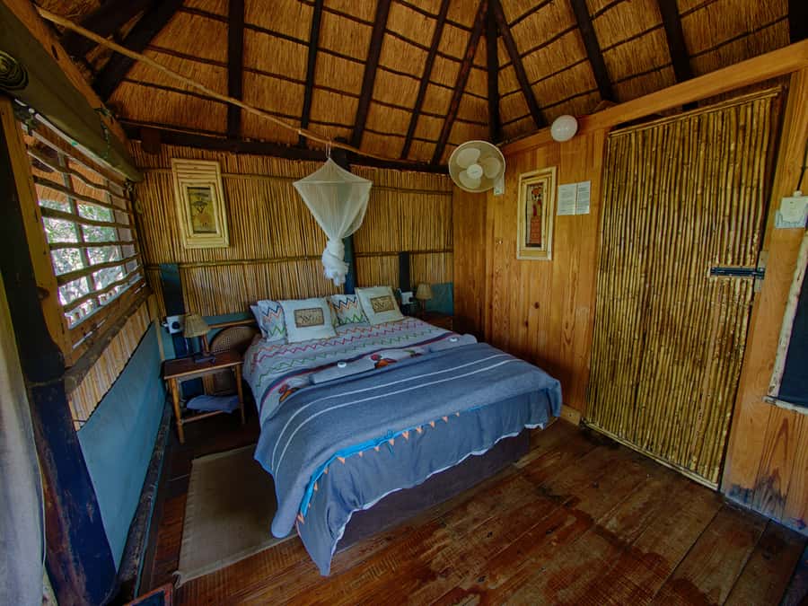 Kruger National Park: 3-Day Safari Tour and Treehouse Stay - Guides, Spotting, and the Small-Group Advantage