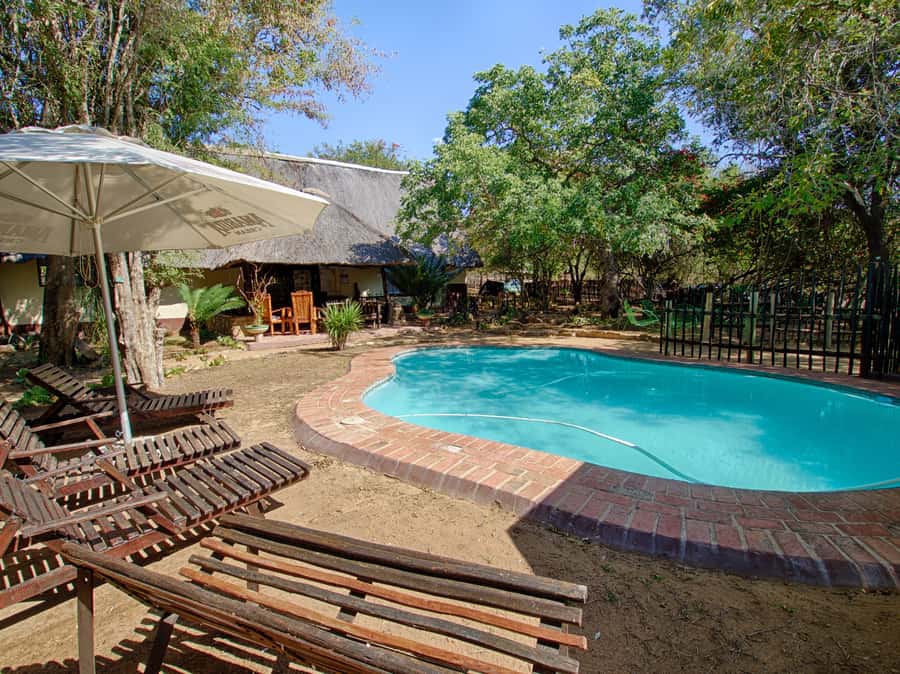 Kruger National Park: 3-Day Safari Tour and Treehouse Stay - Who Should Book This Kruger Safari (and Who Should Skip It)?