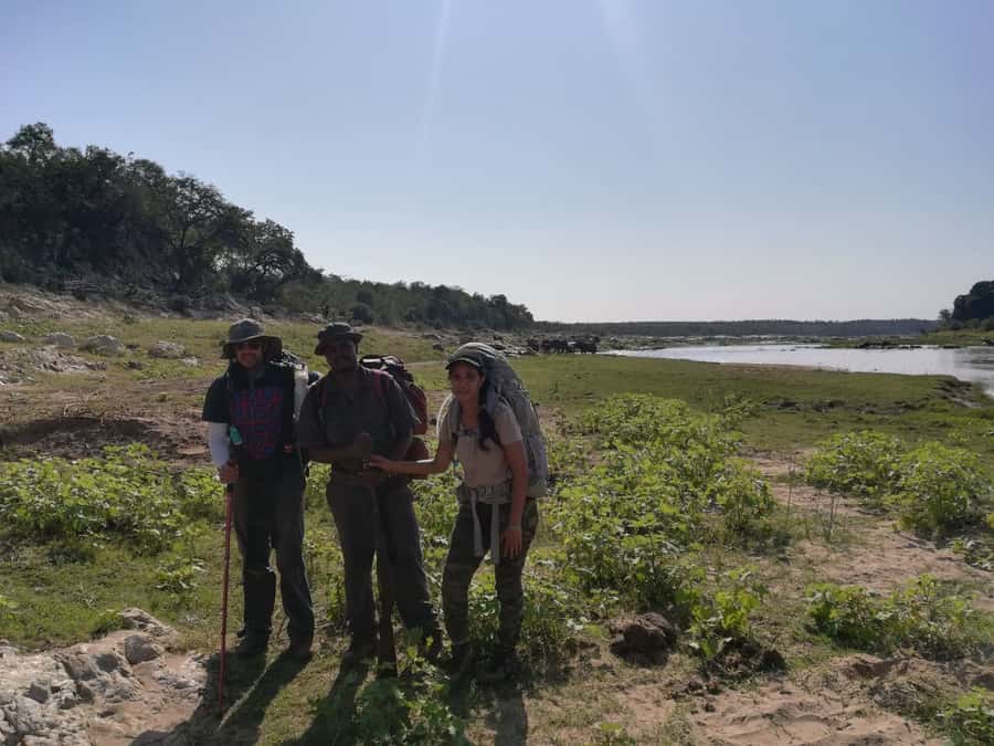 Kruger National Park: 3-Hour Walking Safari - Why a Walking Safari in Kruger Beats Just Watching From a Vehicle