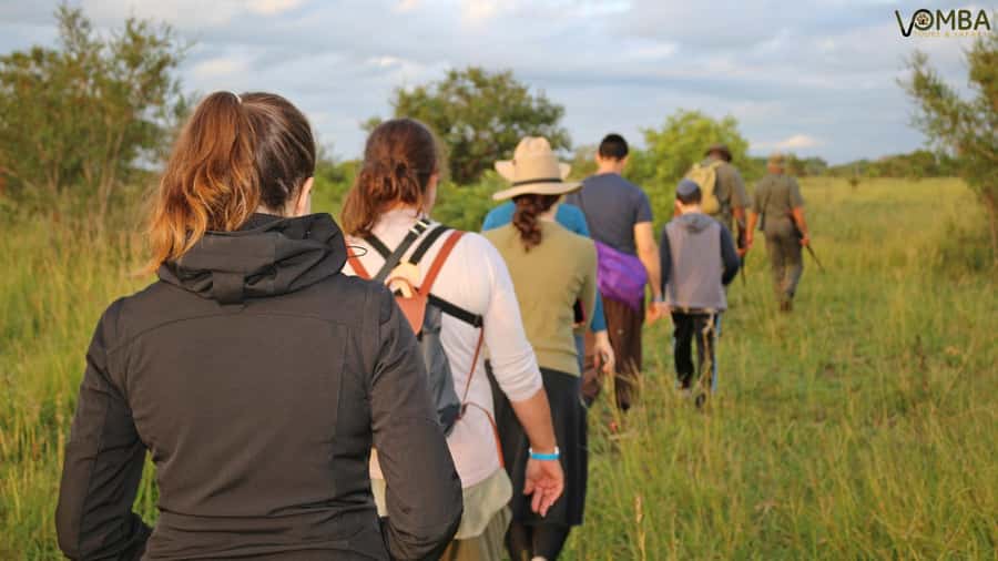 Kruger National Park: 3-Hour Walking Safari - Wildlife You May Track: Rhinos, Elephants, and Lions