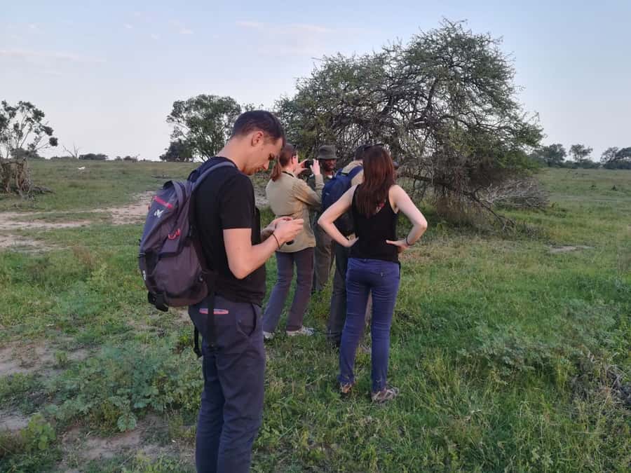 Kruger National Park: 3-Hour Walking Safari - Group Size, Guide Style, and Comfort on the Trail