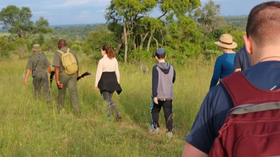Kruger National Park: 3-Hour Walking Safari - Price and Value: Is $138 Worth It for a Guided Walk?