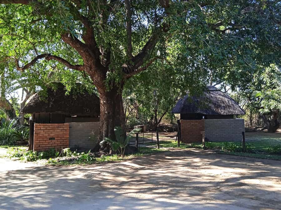Kruger National Park - 4 Day Safari Tour - Day 4 nature walk on the reserve plus an easy return