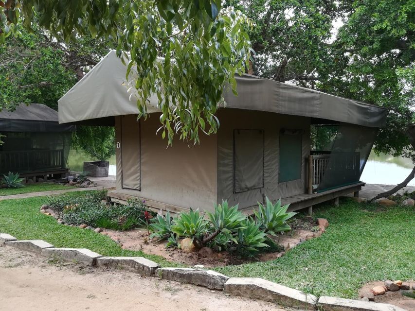 Kruger National Park - 5 Day Safari Tour - Price and value: what $1,171 per person is buying