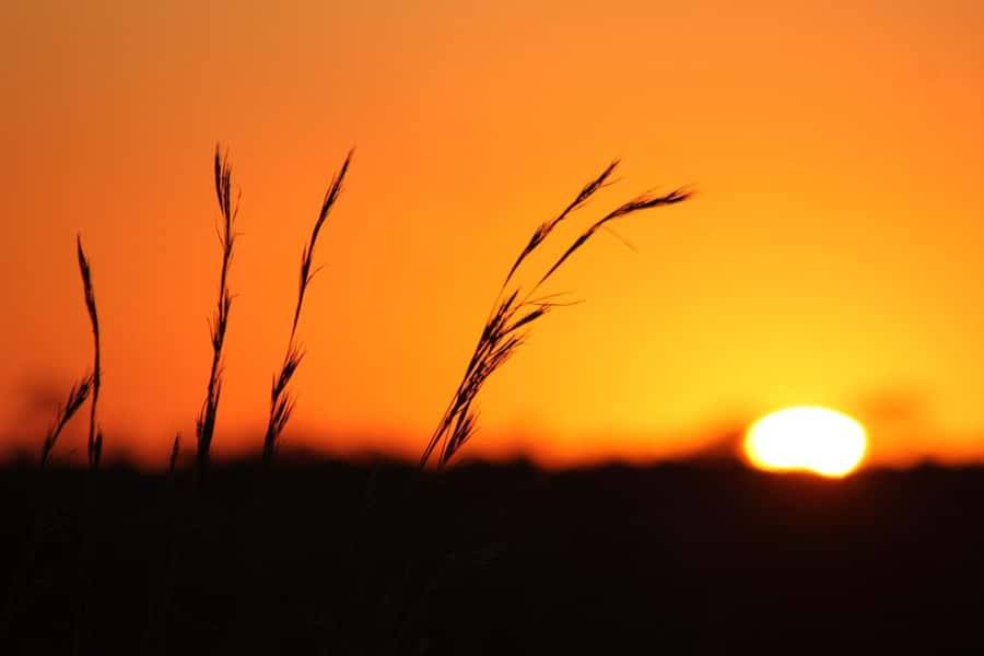 Kruger National Park - 5 Day Safari Tour - Day 1 at 4pm: private reserve sunset safari in an open vehicle