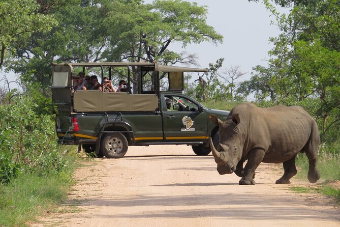 Kruger National Park Afternoon Private safari - Key things that make this safari work