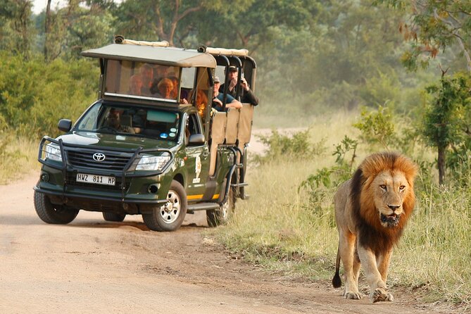 Kruger National Park Afternoon Private safari - Kruger afternoon safari from Hazyview, what you’re really buying