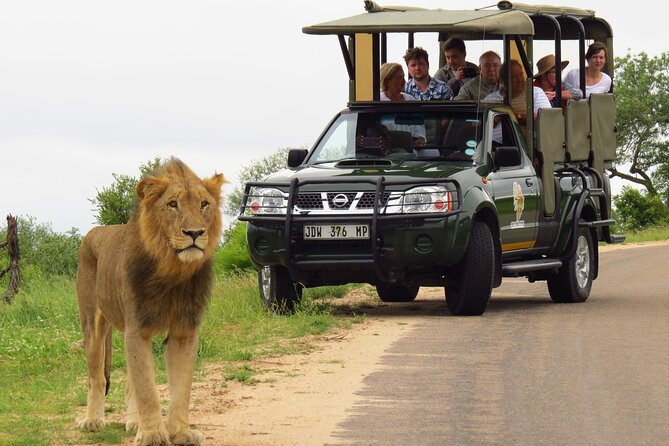 Kruger National Park Afternoon Private safari - Your 1:30 pm start and how the timing plays out