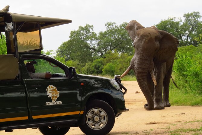 Kruger National Park Afternoon Private safari - What actually happens inside the park during your 5 hours