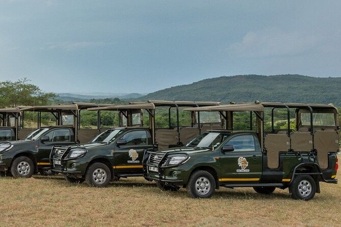 Kruger National Park Afternoon Private safari - Money and value: the $131.13 price versus what you pay at the gate