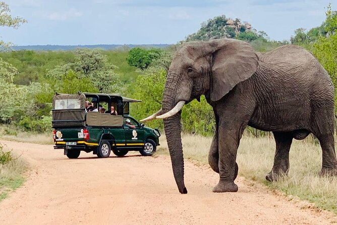 Kruger National Park Afternoon Private safari - The private vehicle: why up to 10 guests is a sweet spot