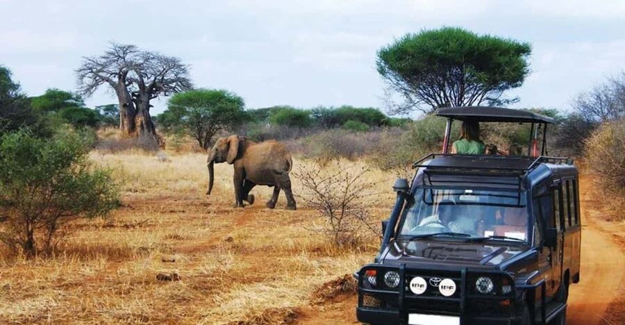 Kruger National Park & Blyde River Canyon 4 Day Safari - Key highlights you will actually feel