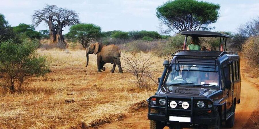 Kruger National Park & Blyde River Canyon 4 Day Safari - Day 2: The full-day Kruger safari, seasonal start times that matter