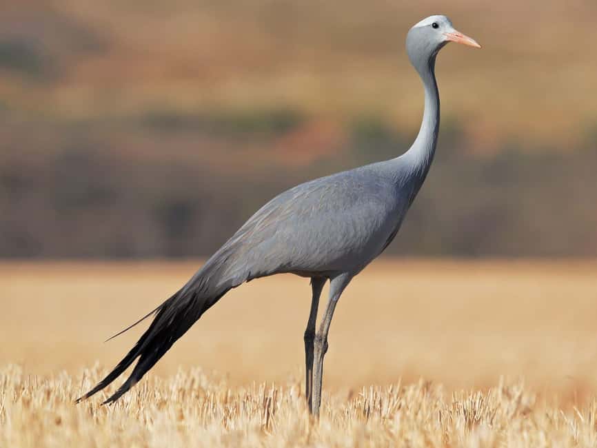 Kruger National Park & Blyde River Canyon 4 Day Safari - Price and value: about $1,435 per person