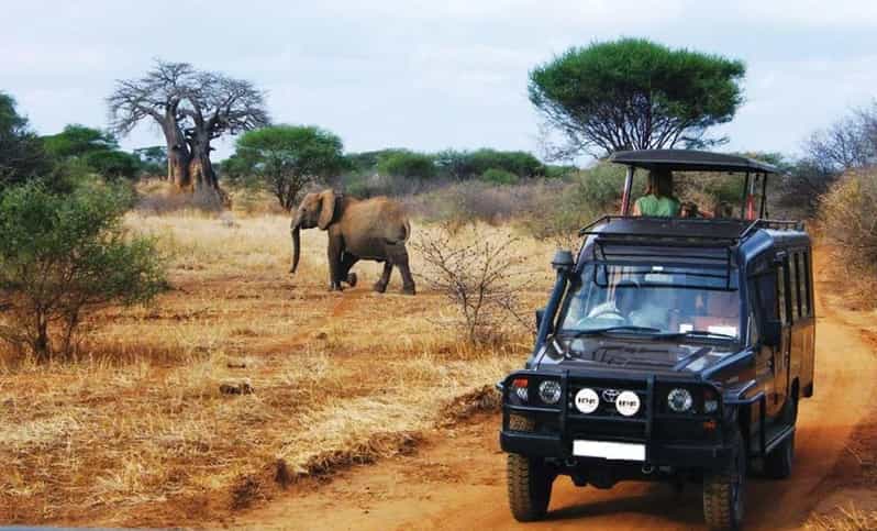 Kruger National Park & Blyde River Canyon 4 Day Safari - What to pack and how to handle the safari cold and long stops