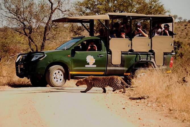 Kruger National Park Full Day Private safari - Entering Kruger early: why the 5:30 am start matters