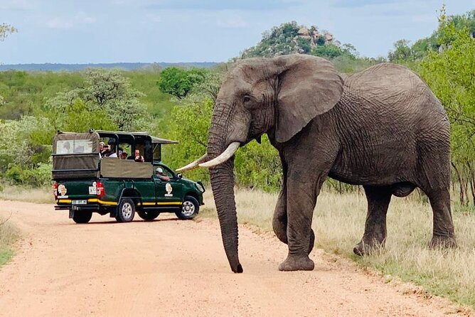 Kruger National Park Full Day Private safari - Pricing and value: what you get for $158.16