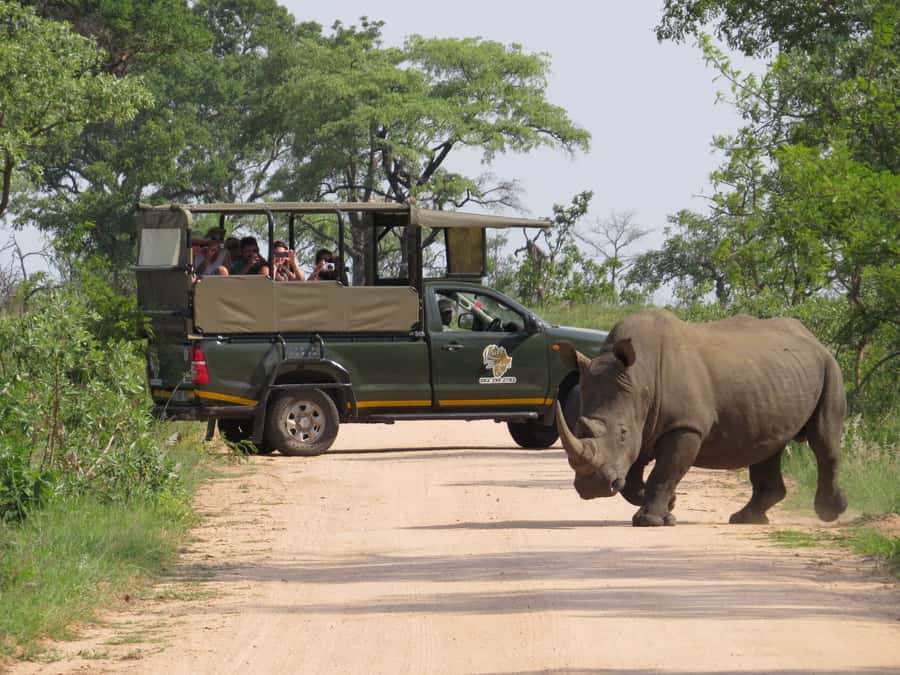 Kruger National Park: Full-Day Private Safari With Pickup - Quick hits