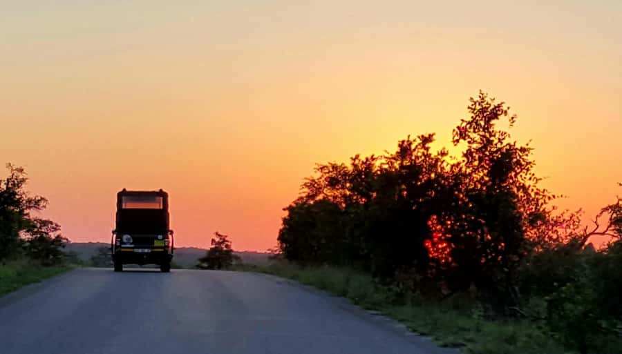 Kruger National Park: Full-Day Private Safari With Pickup - How Kruger’s early hours shape your wildlife chances