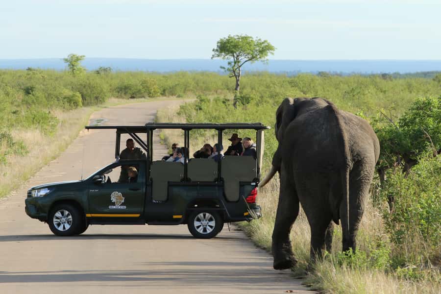 Kruger National Park: Full-Day Private Safari With Pickup - The open safari vehicle, and why it’s worth it for photos