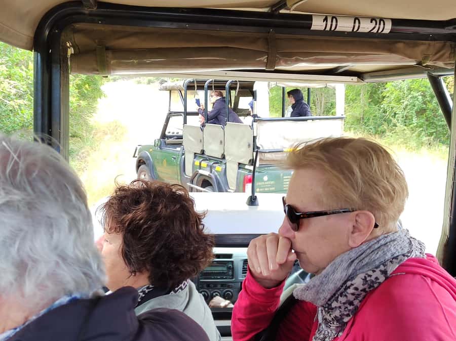 Kruger National Park half day - First Light at Phabeni Gate: The Half-Day Advantage