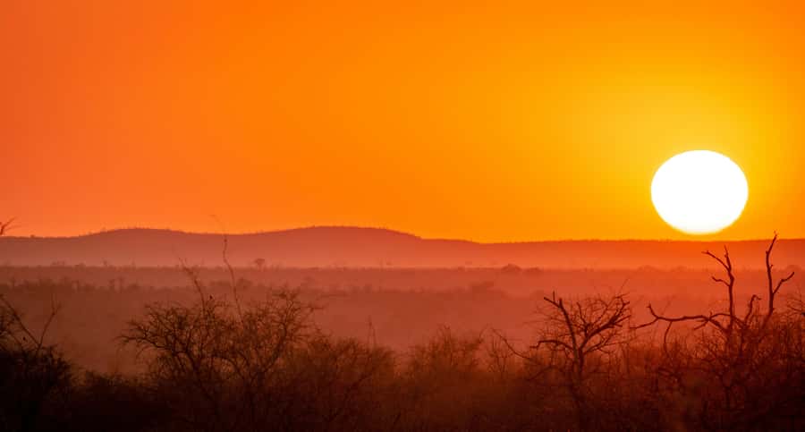 Kruger National Park half day - Who Should Book This Half-Day Kruger Drive?