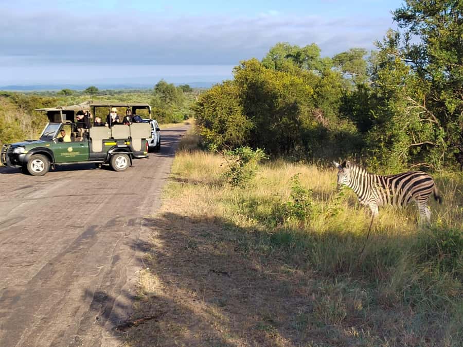 Kruger National Park half day - Lunchtime at a Rest Camp and Why It Improves Your Wildlife Odds