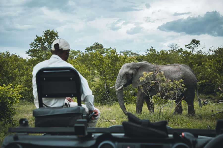 Kruger National Park half day - Park Rules You Should Actually Plan Around
