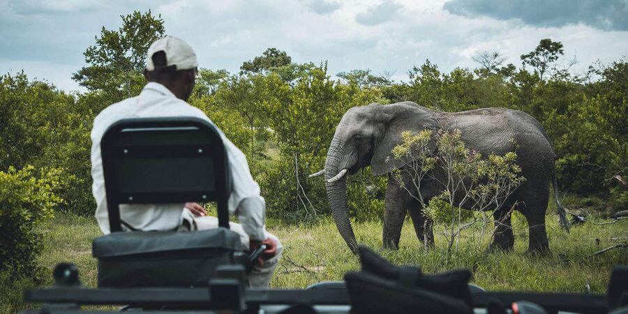 Kruger National Park half day - Timing and Weather: Dress for the Early Morning, Not Just the Sun