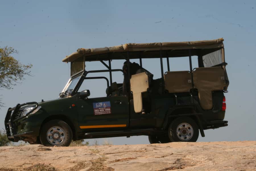 Kruger National Park Morning Safari - Who Should Book This Kruger Morning Safari?