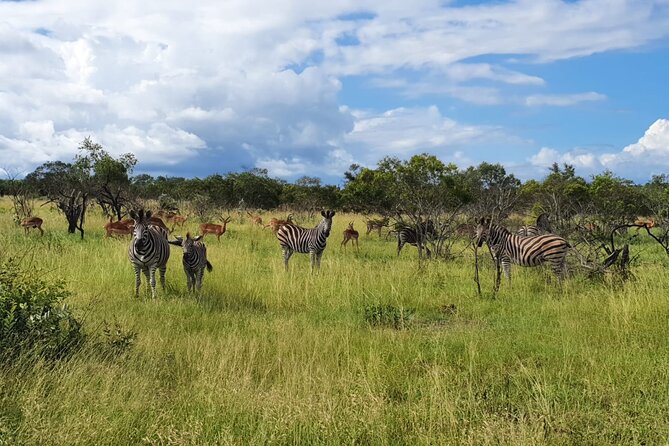 Kruger National Park & Panorama Route From Johannesburg 3 Days & 2 Nights - Graskop Gorge Lift Company: Gorge Views, Markets, and Optional Adrenaline