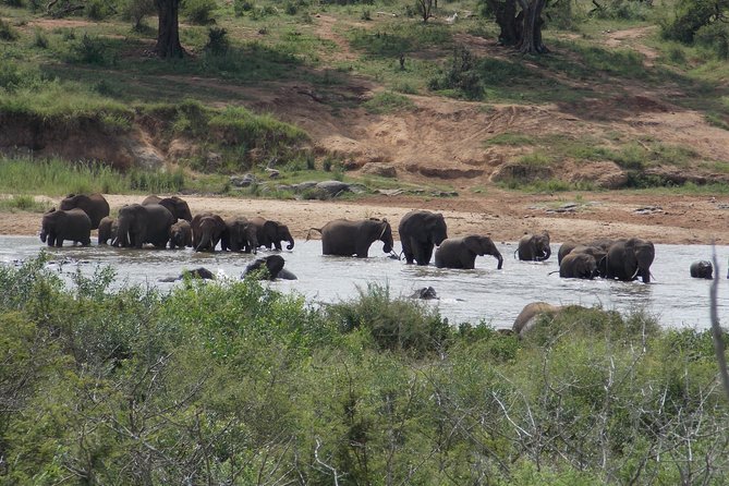 Kruger National Park - Private 3 day, 2 night safari trip. - Walking safari rules inside Kruger, and how to choose wisely