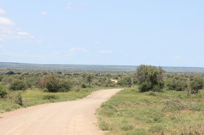 Kruger National Park Private Full-Day Safari - Private Safari Vehicle & Guide - Key things to know before you go