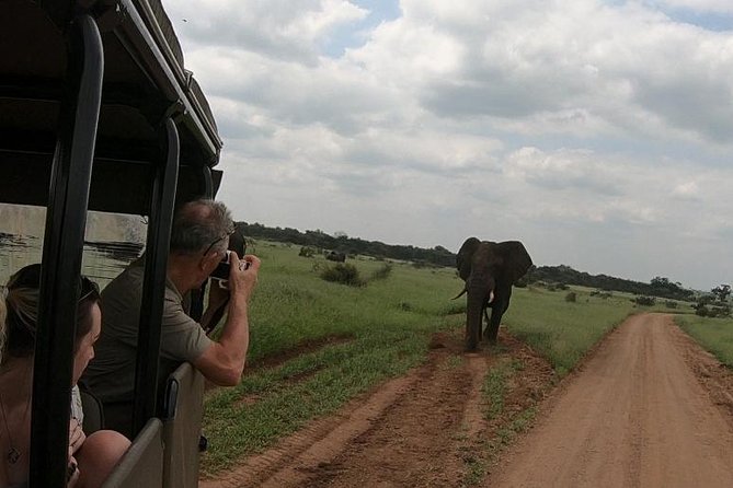 Kruger National Park Private Full-Day Safari - Private Safari Vehicle & Guide - Who Should Book This Private Kruger Safari