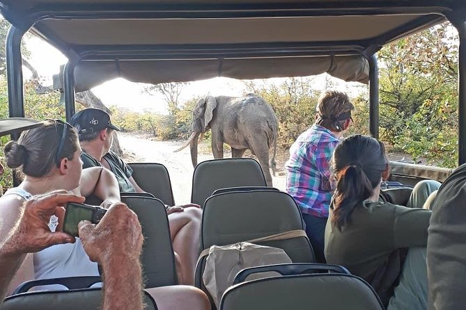 Kruger National Park Private Full-Day Safari - Private Safari Vehicle & Guide - Practical Expectations That Keep the Day Fun