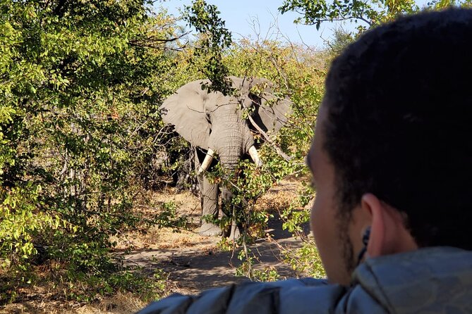 Kruger National Park Private Guided Tour - What is included, and what you need to bring or handle