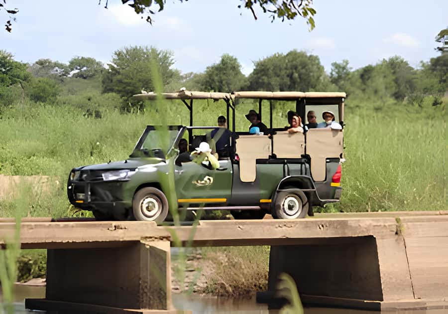 Kruger National Park Safari (Full Day) - What makes this Kruger day feel like a true safari