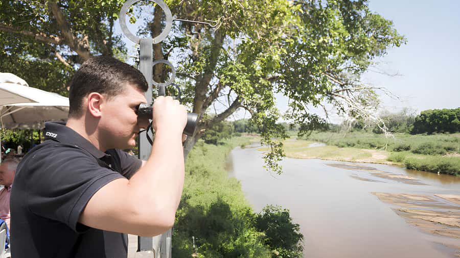 Kruger National Park Safari (Full Day) - Should you book this full-day Kruger safari?