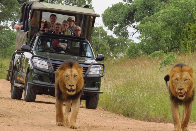 Kruger National Park sunrise Morning Private safari - What you can realistically spot: Big Five plus the extras