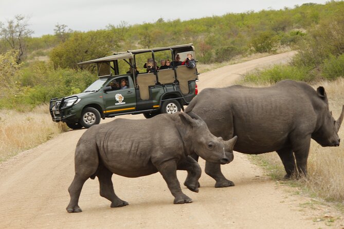 Kruger National Park sunrise Morning Private safari - How to handle the 6.5 hour schedule (and not burn out)