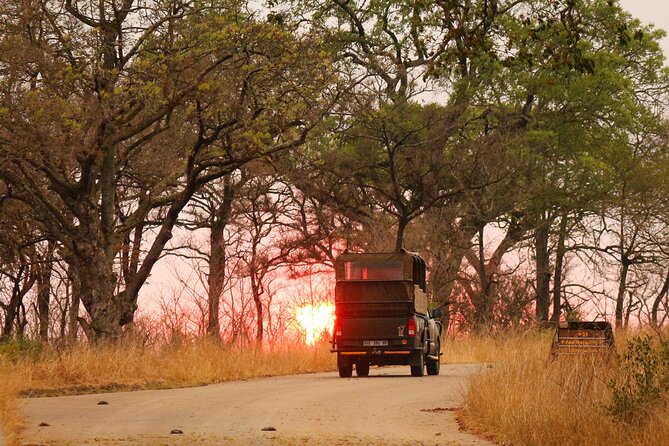 Kruger National Park sunrise Morning Private safari - Who this private Kruger sunrise safari fits best