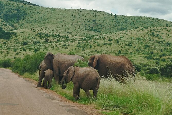 Kruger national park tour 4-days/3nights(Open safari truck) - Day 4: Blyde River Canyon, Bourke’s Luck Potholes, God’s Window, then back by 5:00 to 6:00 pm